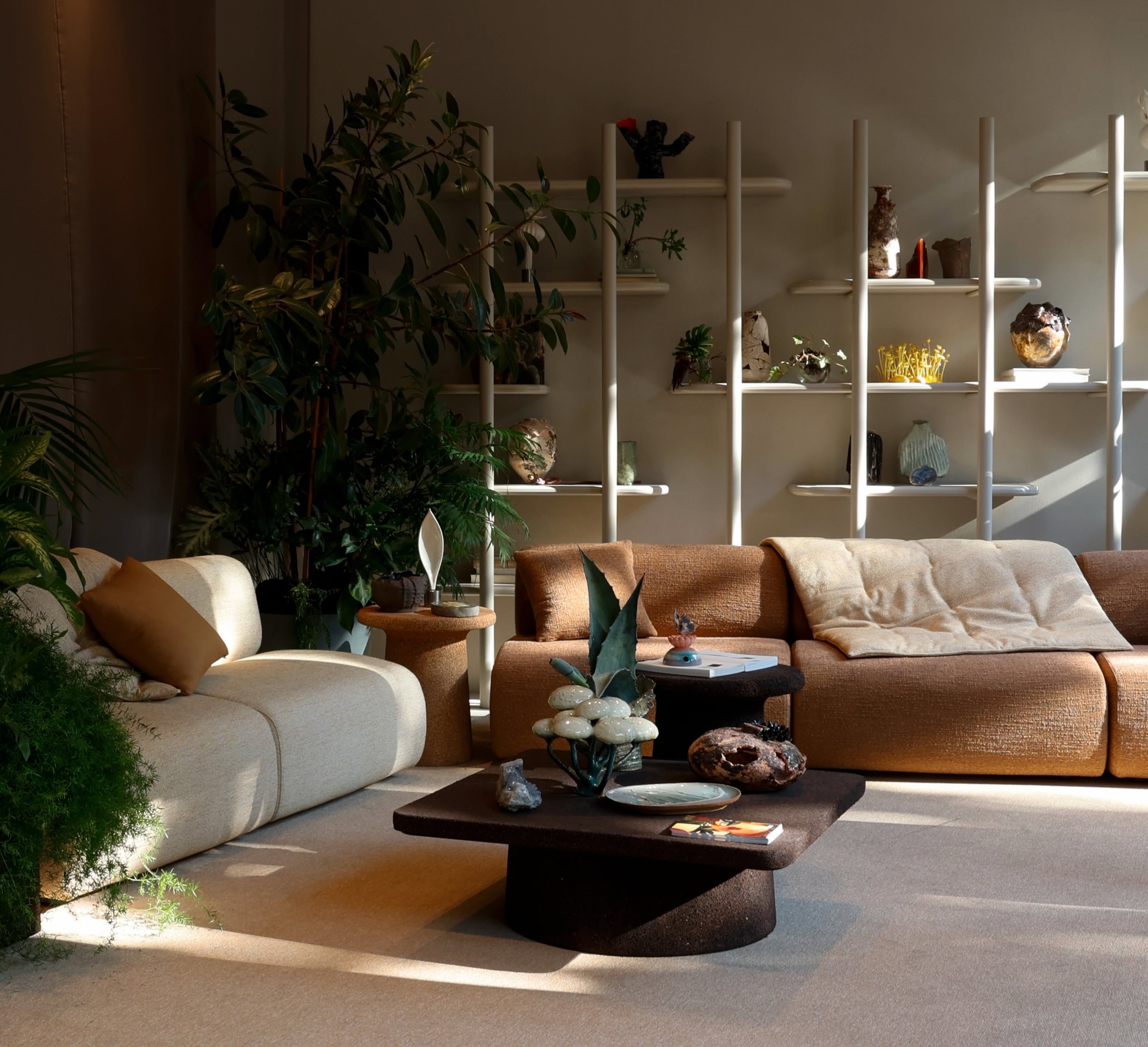 Saba Anam Bookcase