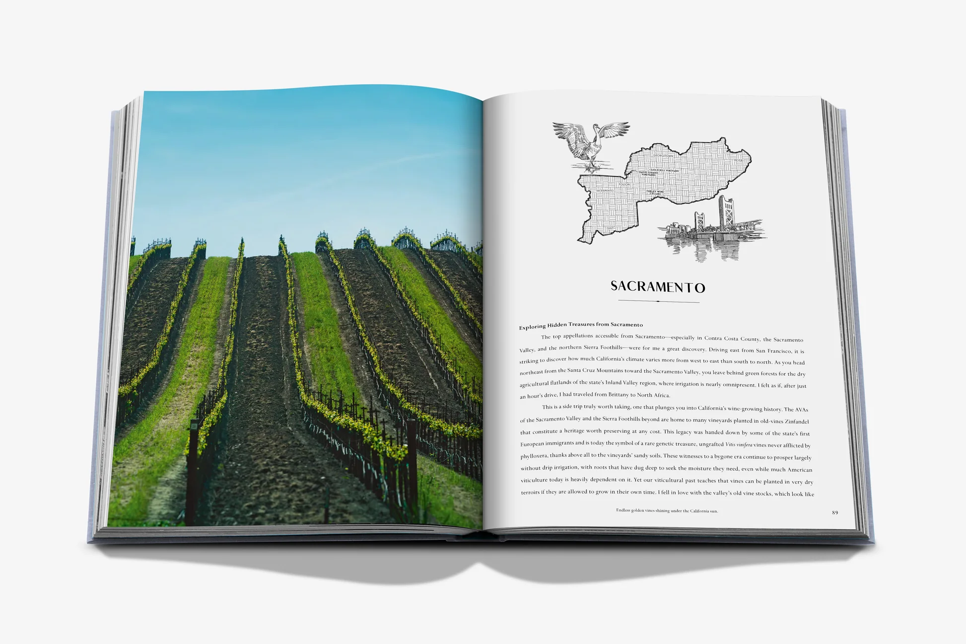 Assouline Wine & Travel Usa