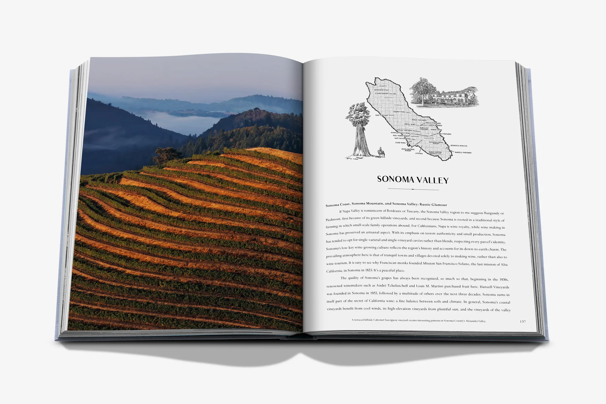 Assouline Wine & Travel Usa