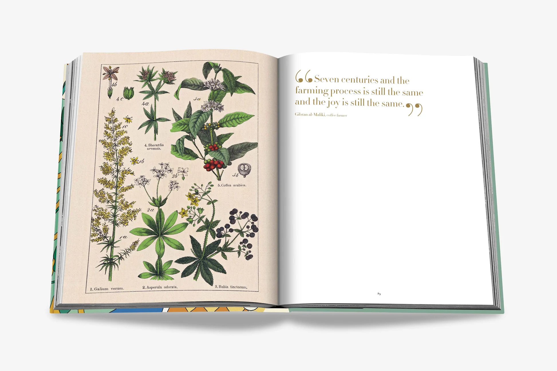 Assouline Saudi Coffee: The Culture of Hospitality