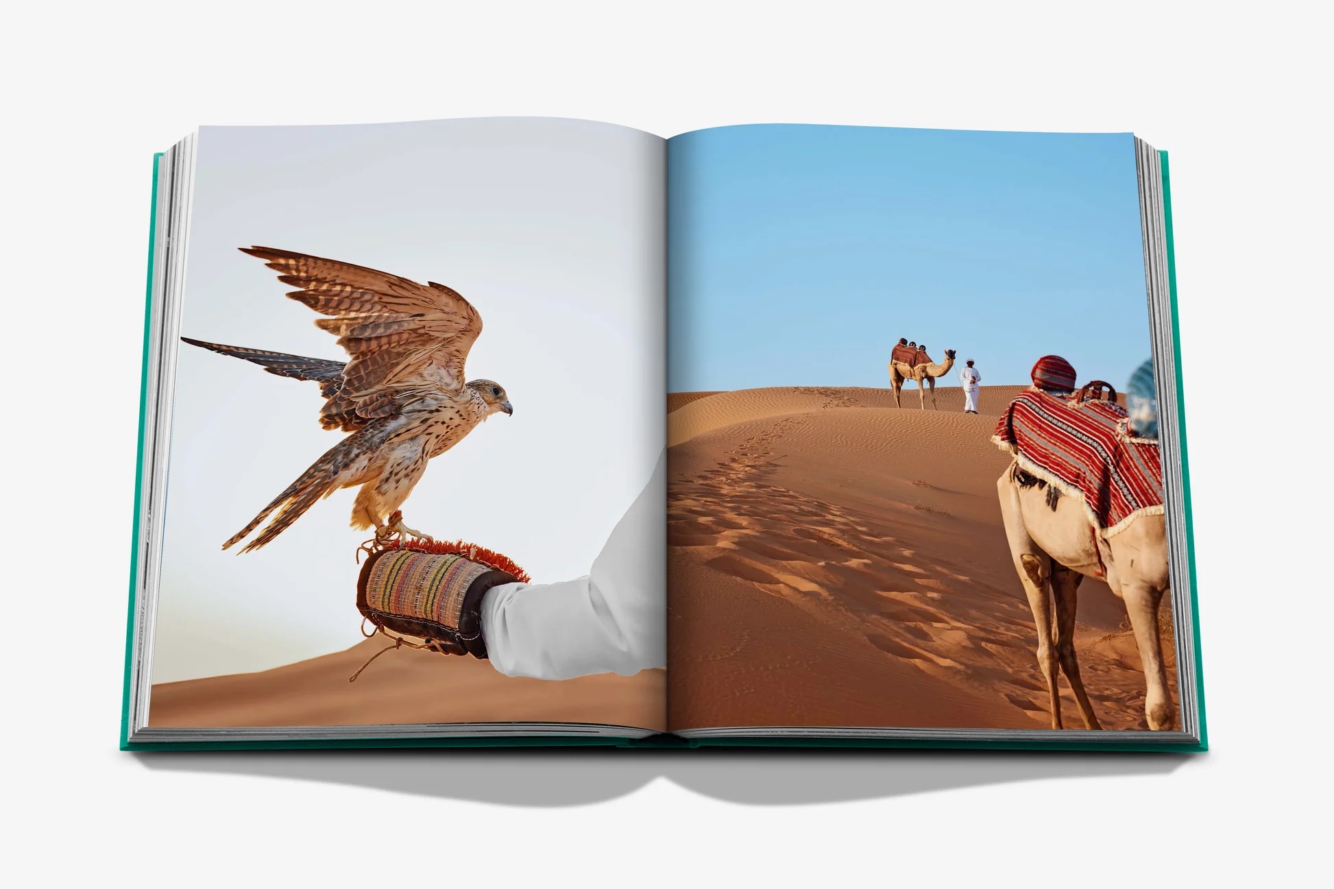 Assouline Abu Dhabi Bright