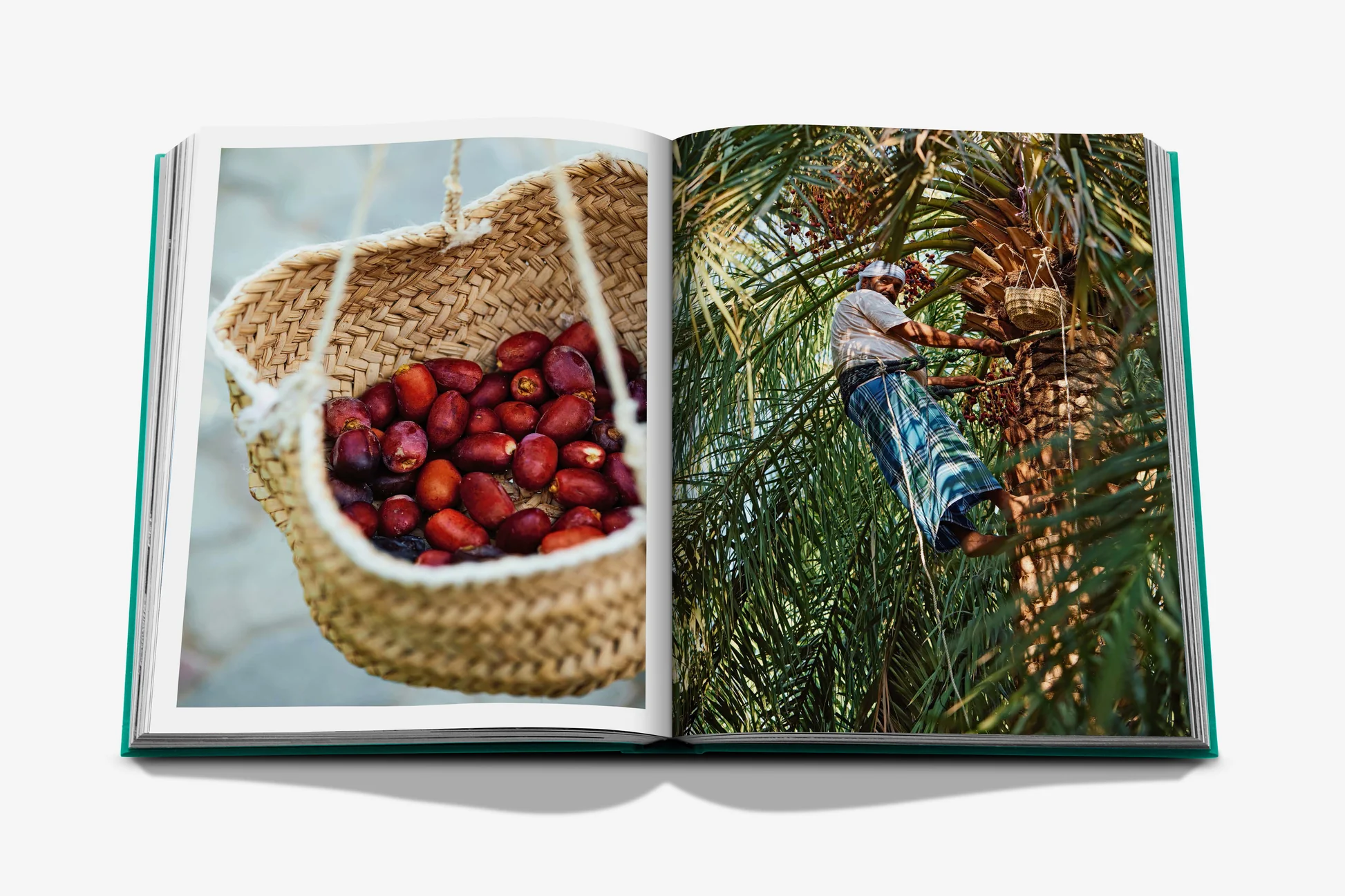 Assouline Abu Dhabi Bright