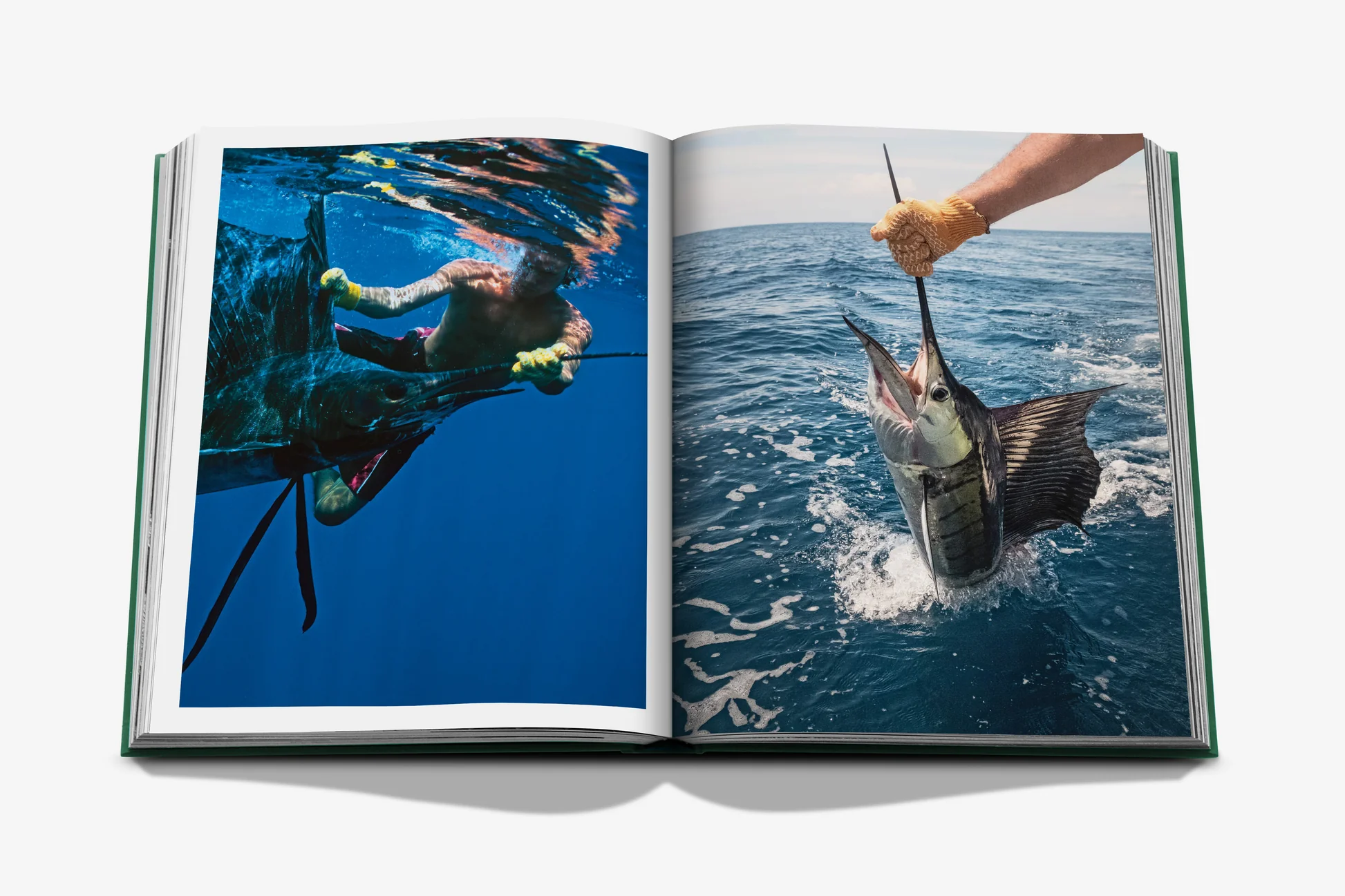 Assouline Costa Rica Vida