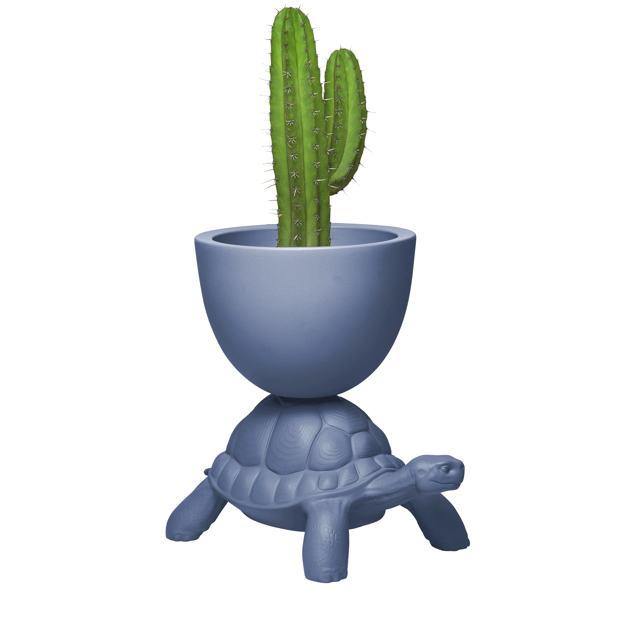 Qeeboo Turtle Carry Planter & Champagne Cooler - New Colors!