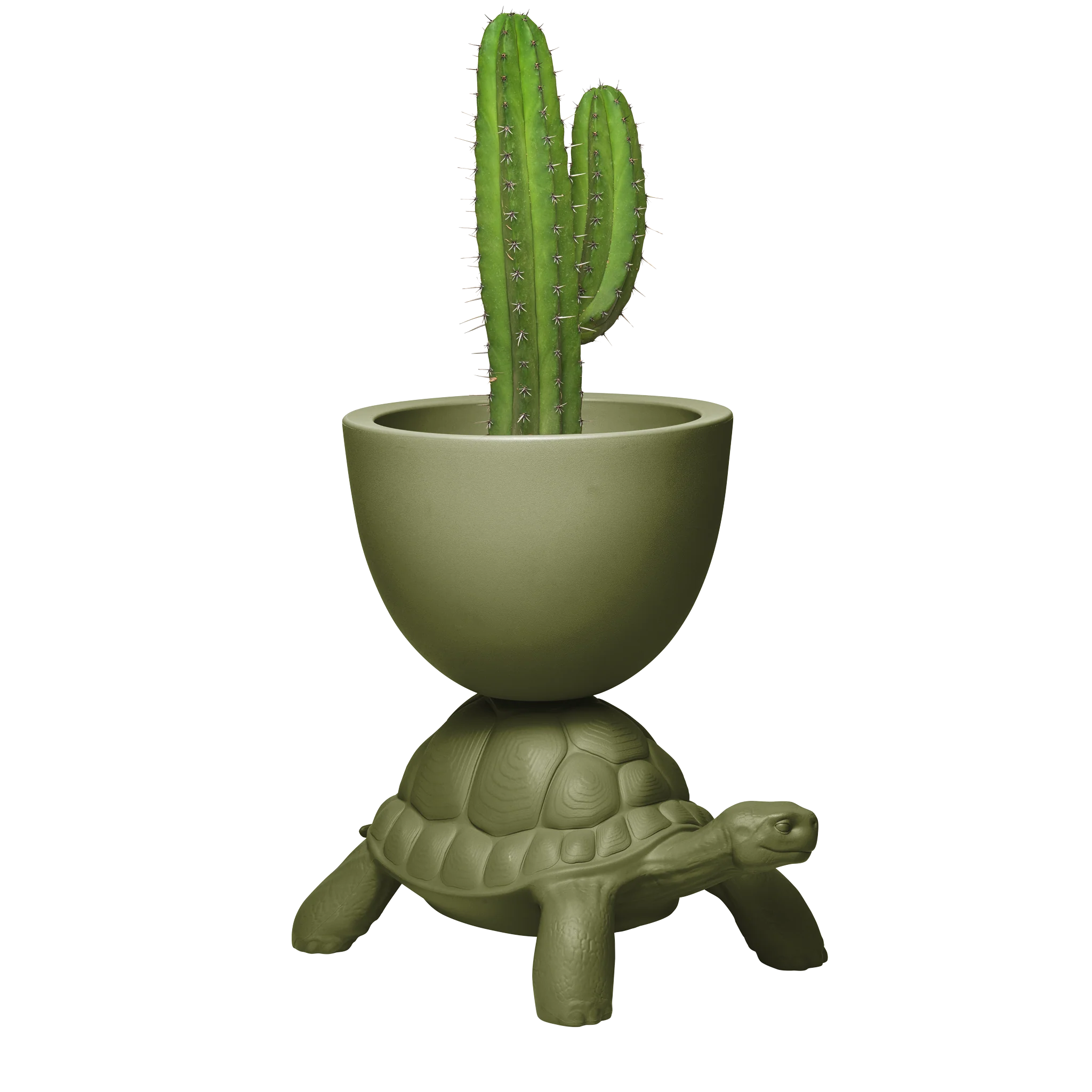Qeeboo Turtle Carry Planter & Champagne Cooler - New Colors!