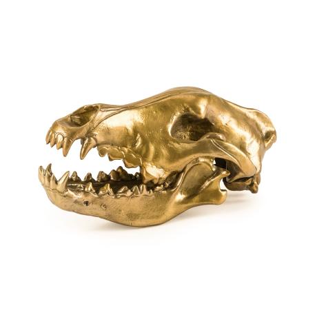 Seletti Wunderkammer Wolf Skull