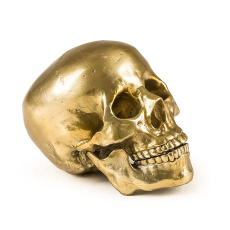 Seletti Wunderkammer Human Skull