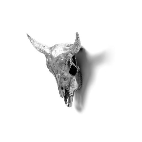 Seletti Wunderkammer Bison Skull
