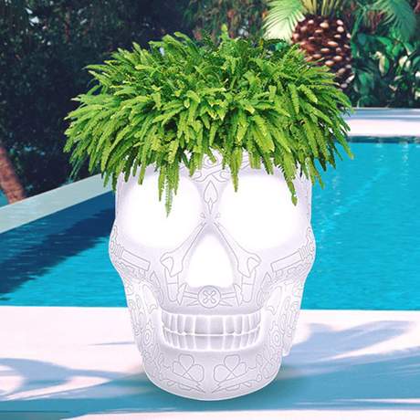 Qeeboo Mexico Planter & Champagne Cooler Rechargeable Lamp