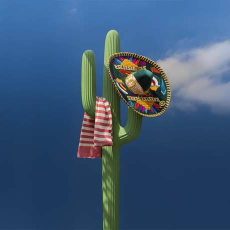 Qeeboo Saguaro Coat Rack