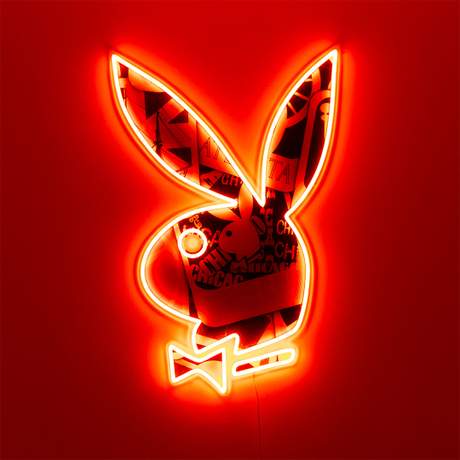 Playboy X 