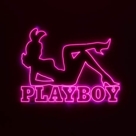 Playboy X 