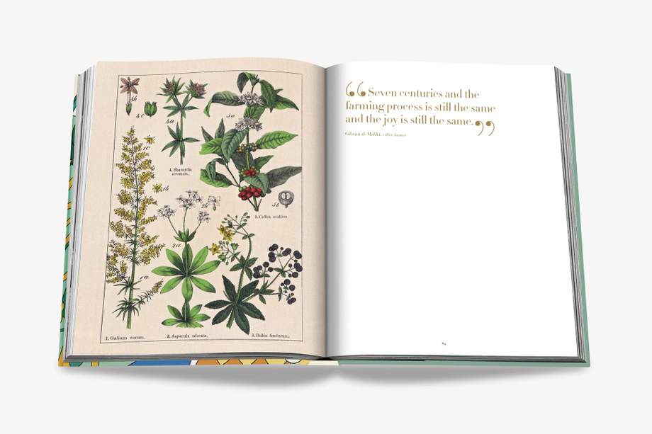 Assouline Saudi Coffee: The Culture of Hospitality