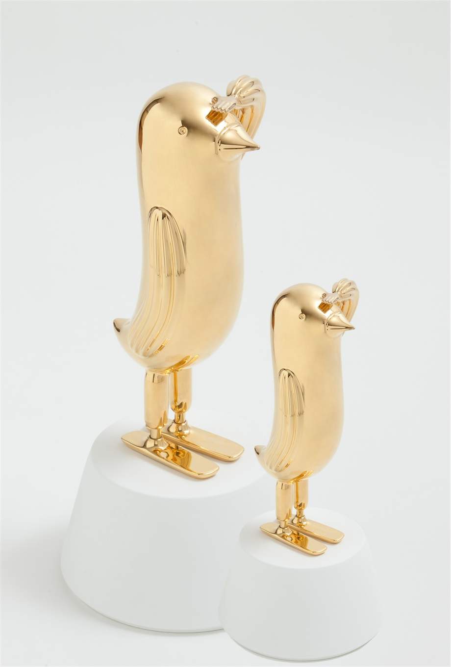 Bosa Hopebird