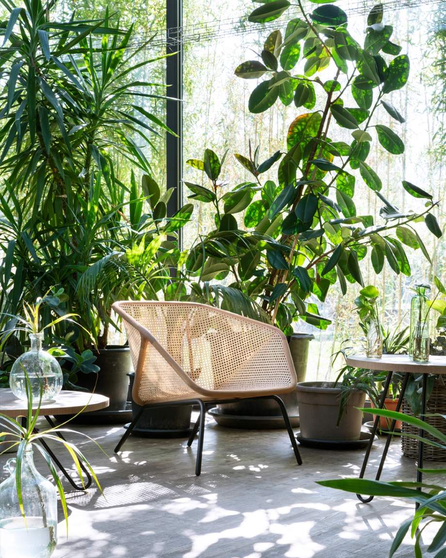 Miniforms Colony Armchair