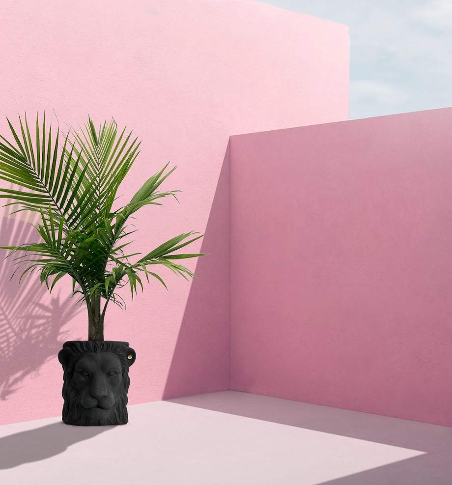 Garden Glory Lion Pot Big Black