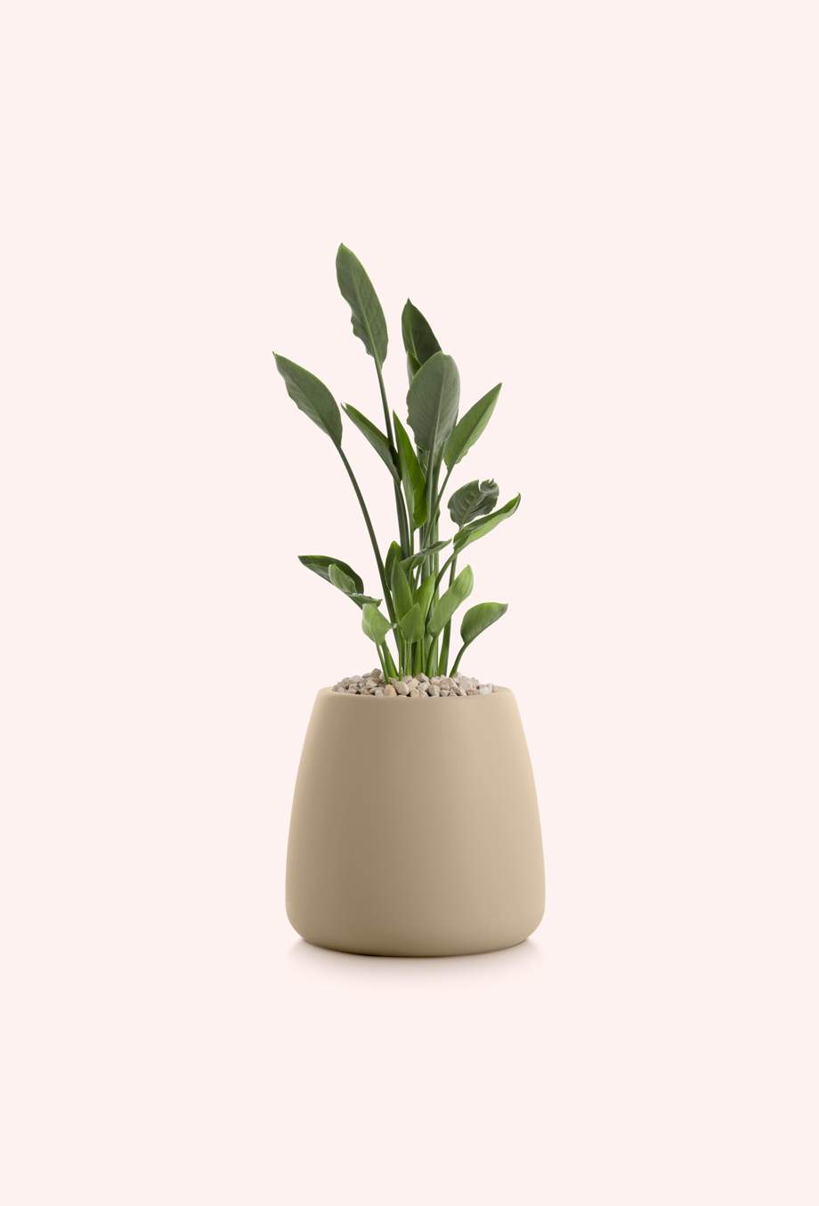 Gobi Outdoor Planter 1 