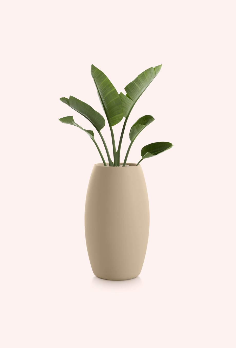 Gobi Outdoor Planter 2