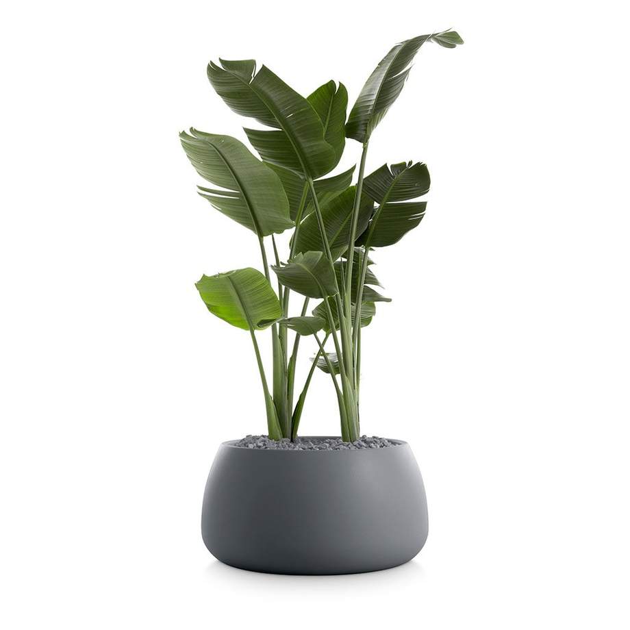 Gobi Outdoor Planter 3
