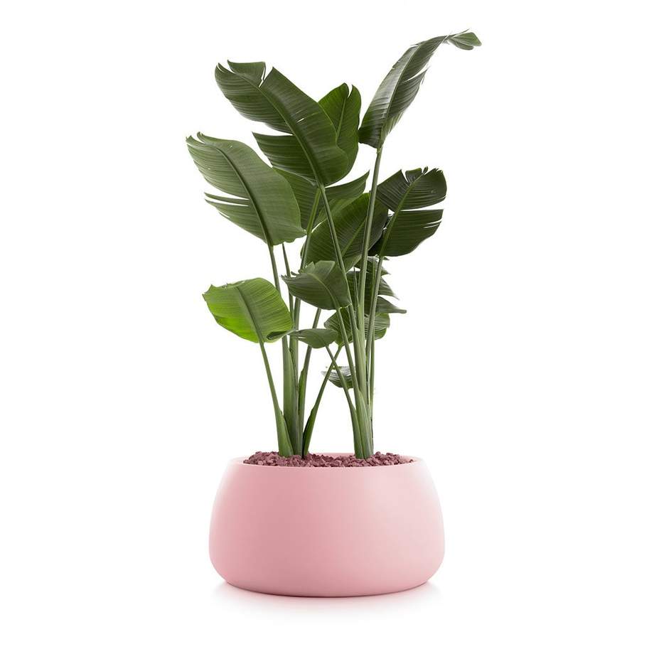 Gobi Outdoor Planter 3