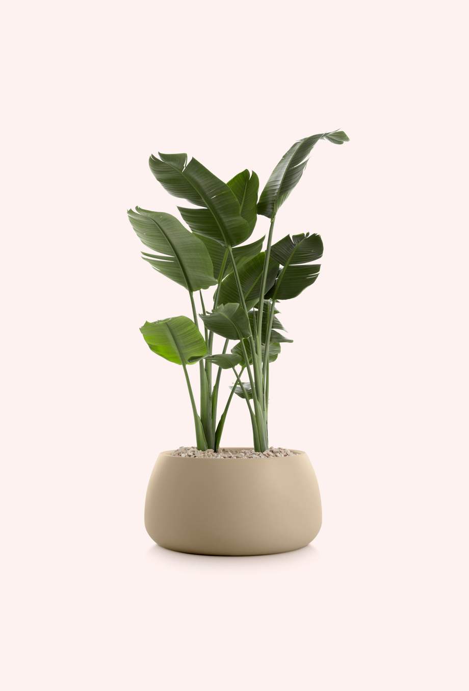 Gobi Outdoor Planter 3