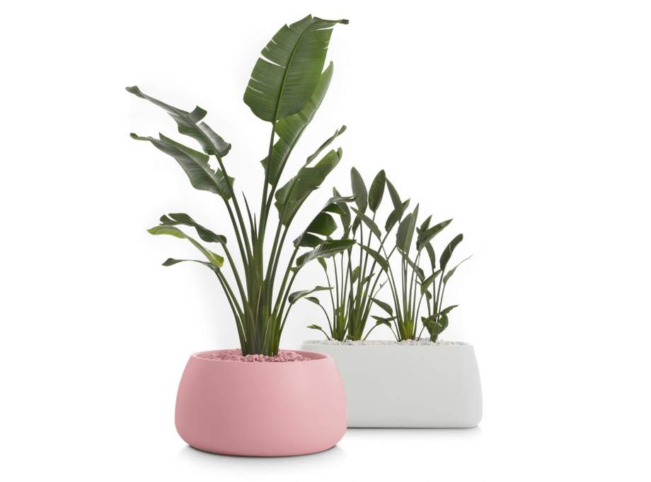 Gobi Outdoor Planter 3