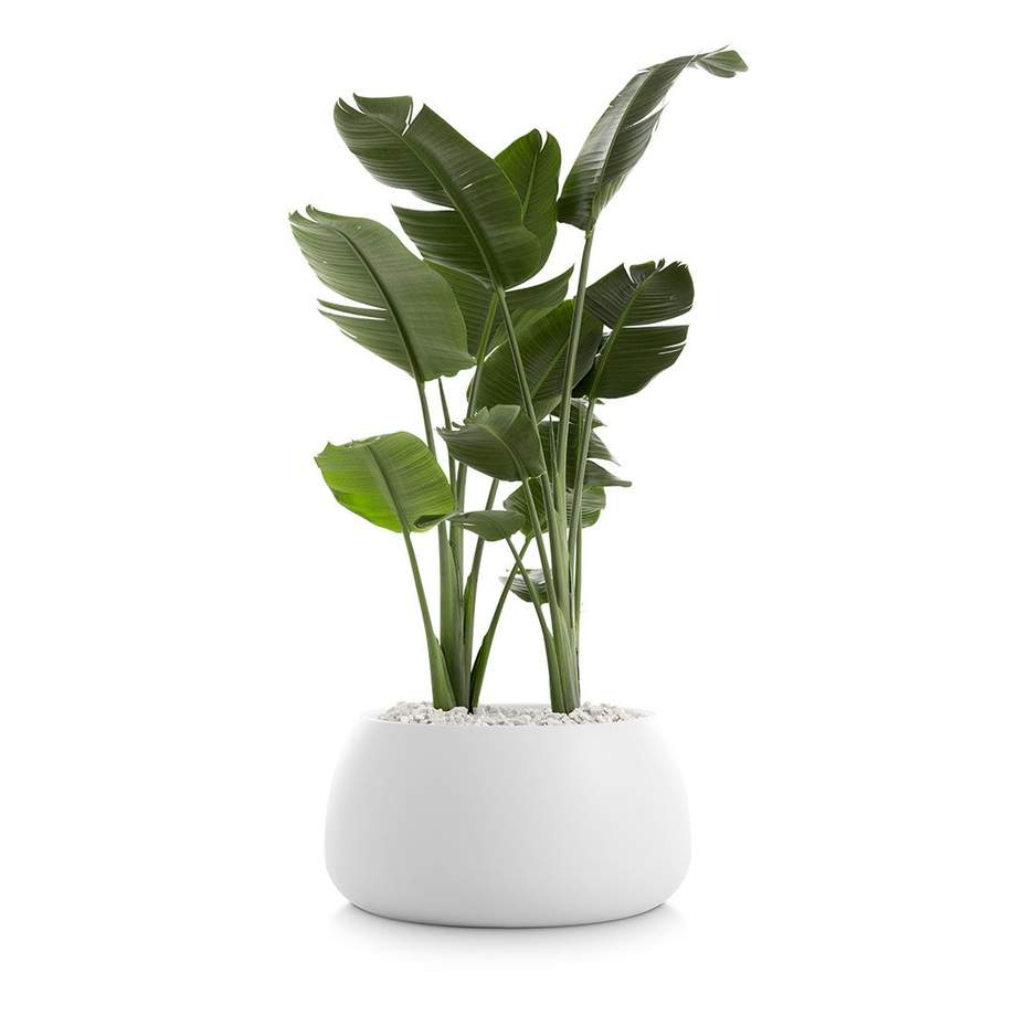 Gobi Outdoor Planter 3