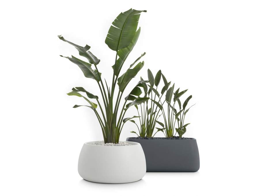 Gobi Outdoor Planter 5