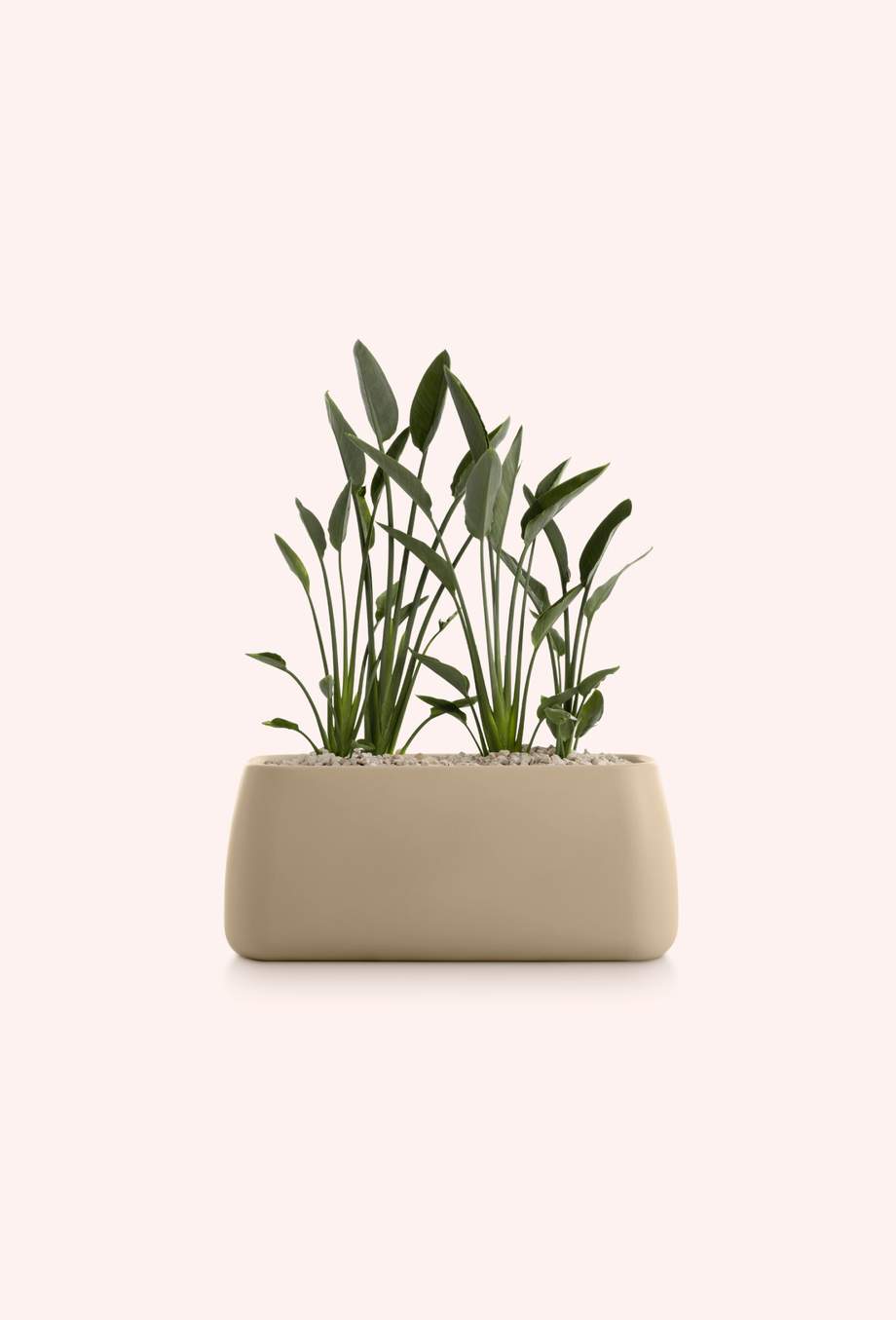 Gobi Outdoor Planter 5