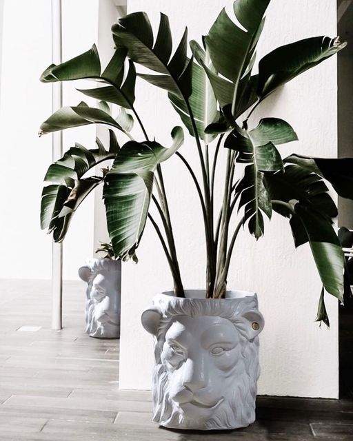 Garden Glory Lion Pot Big White