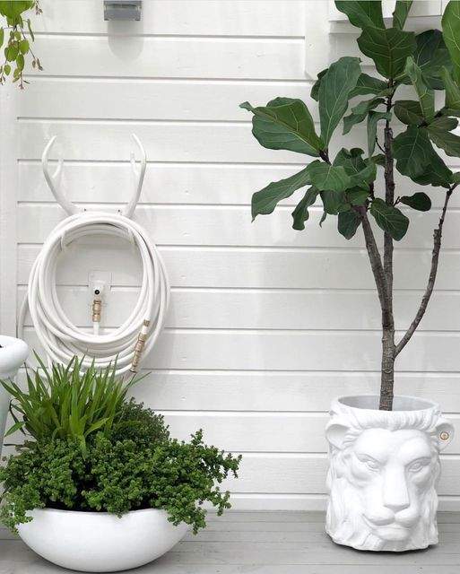 Garden Glory Lion Pot Big White