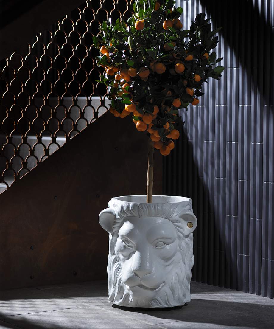 Garden Glory Lion Pot Big White