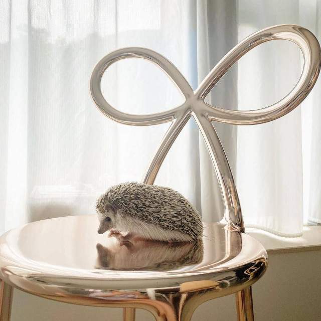 Qeeboo Ribbon Chair Metal Finish