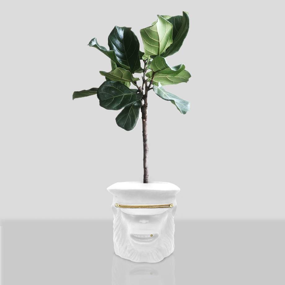 Garden Glory Monkey Face Pot Big