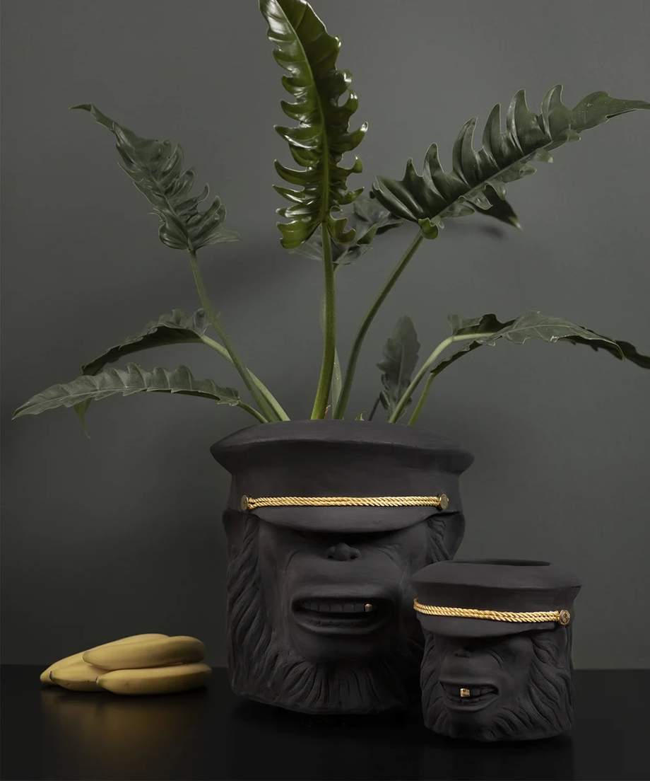 Garden Glory Monkey Face Pot Big