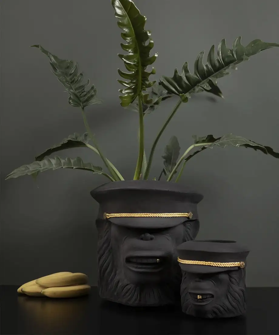 Garden Glory Monkey Face Pot Big