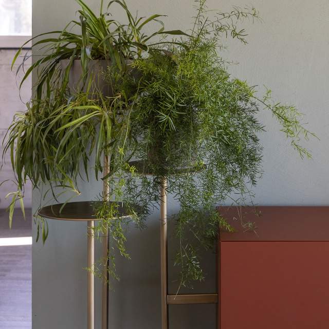 Mogg Ikebana Storage Units