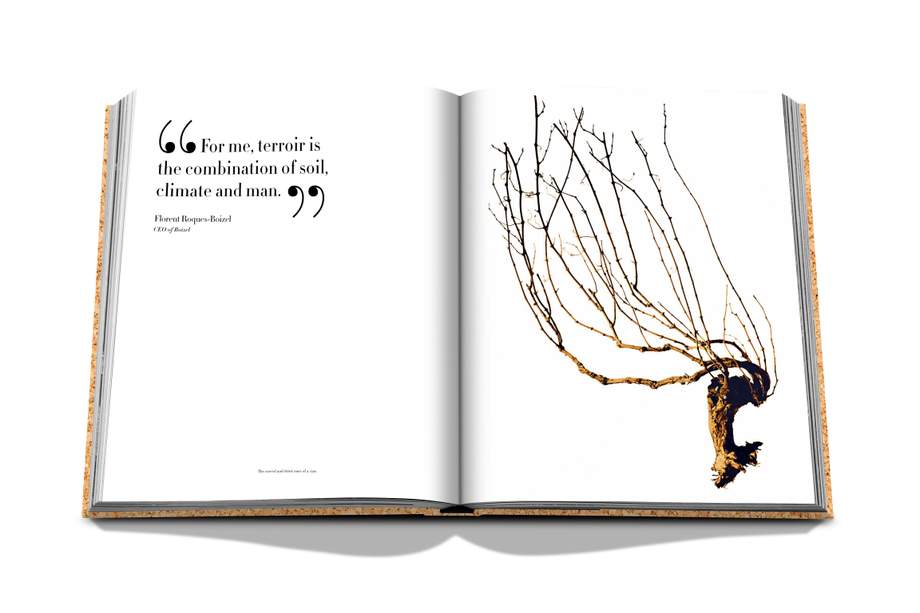 Assouline The Impossible Collection of Champagne