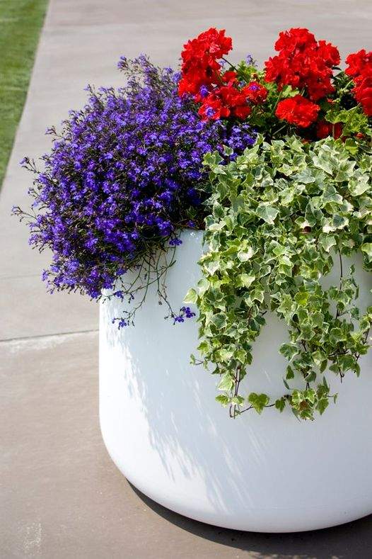 Magis Tubby Plant Pot