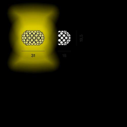 Foscarini Caboche Plus Wall Lamp 