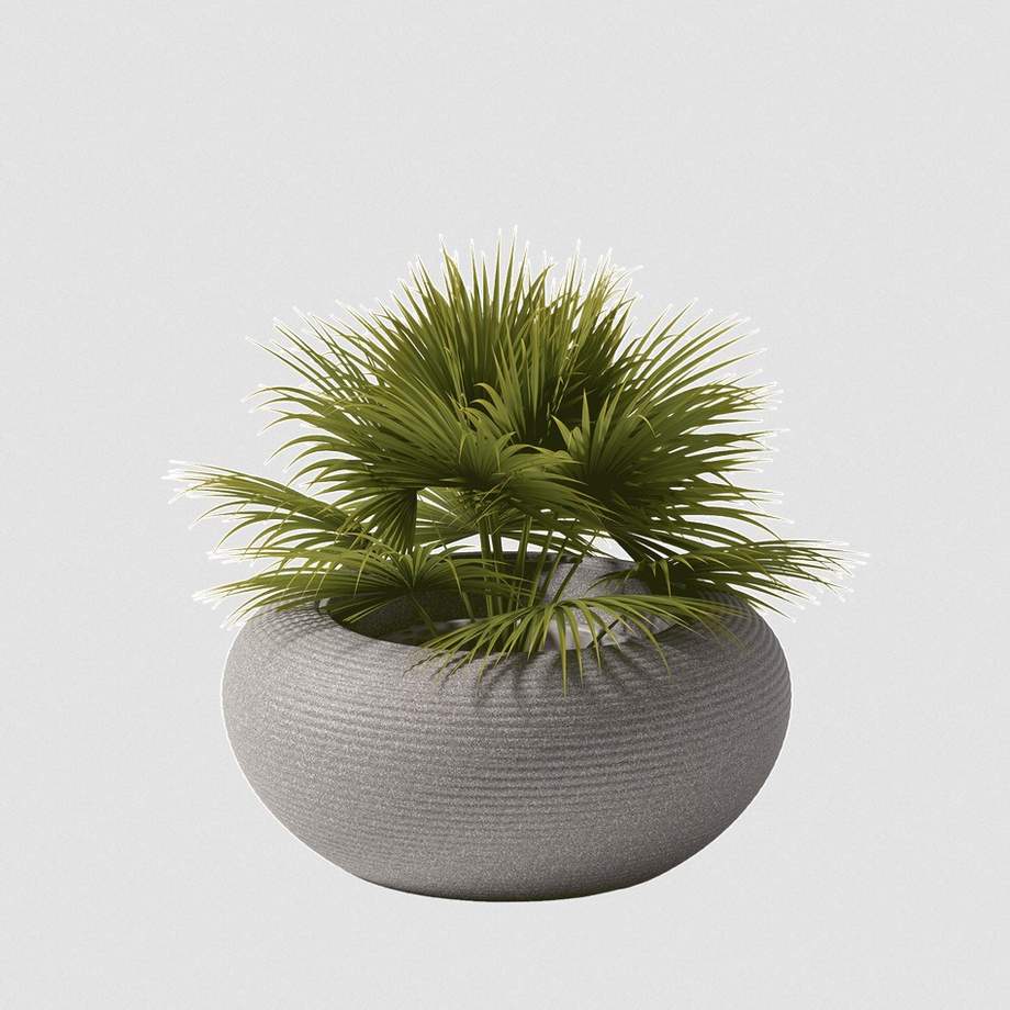 Qeeboo Nami Planter - New Colors