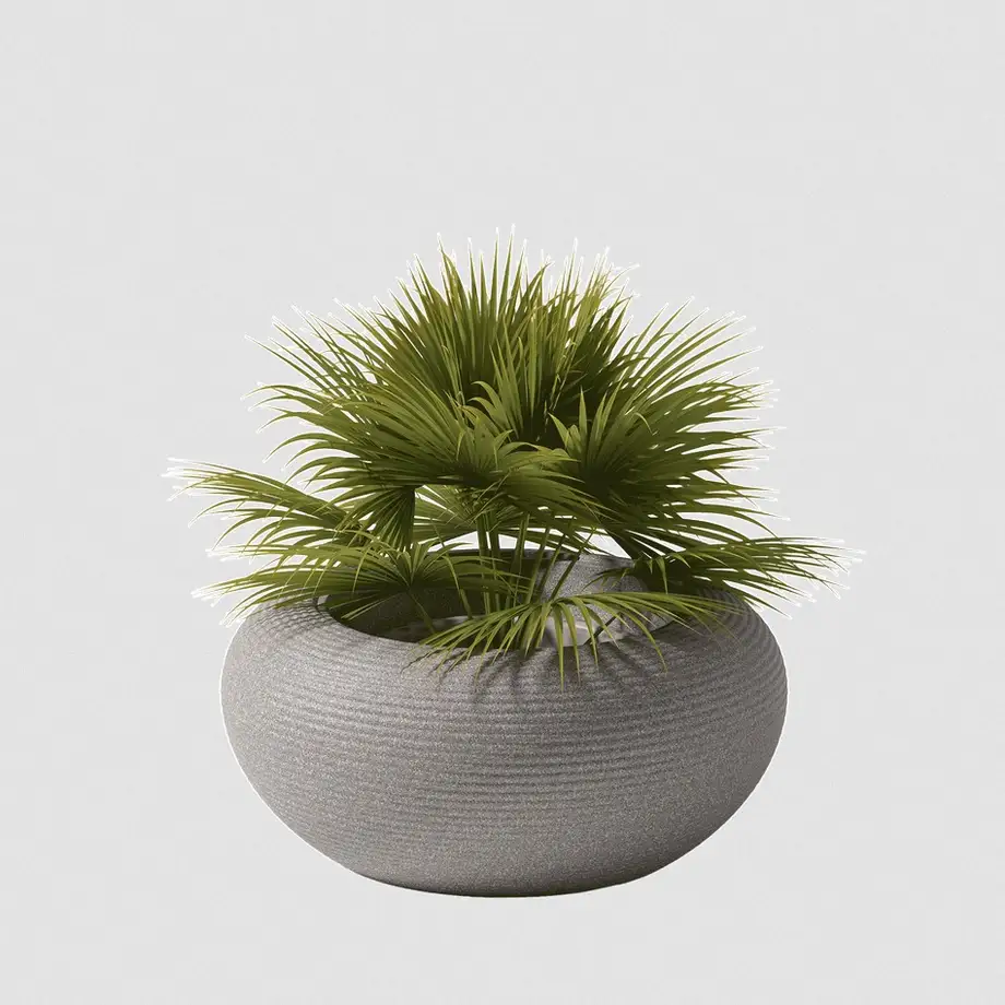 Qeeboo Nami Planter - New Colors
