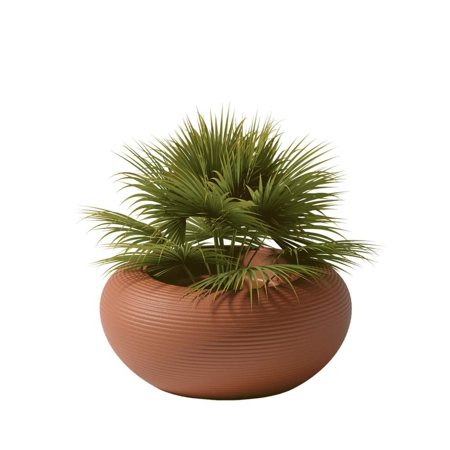 Qeeboo Nami Planter - New Colors