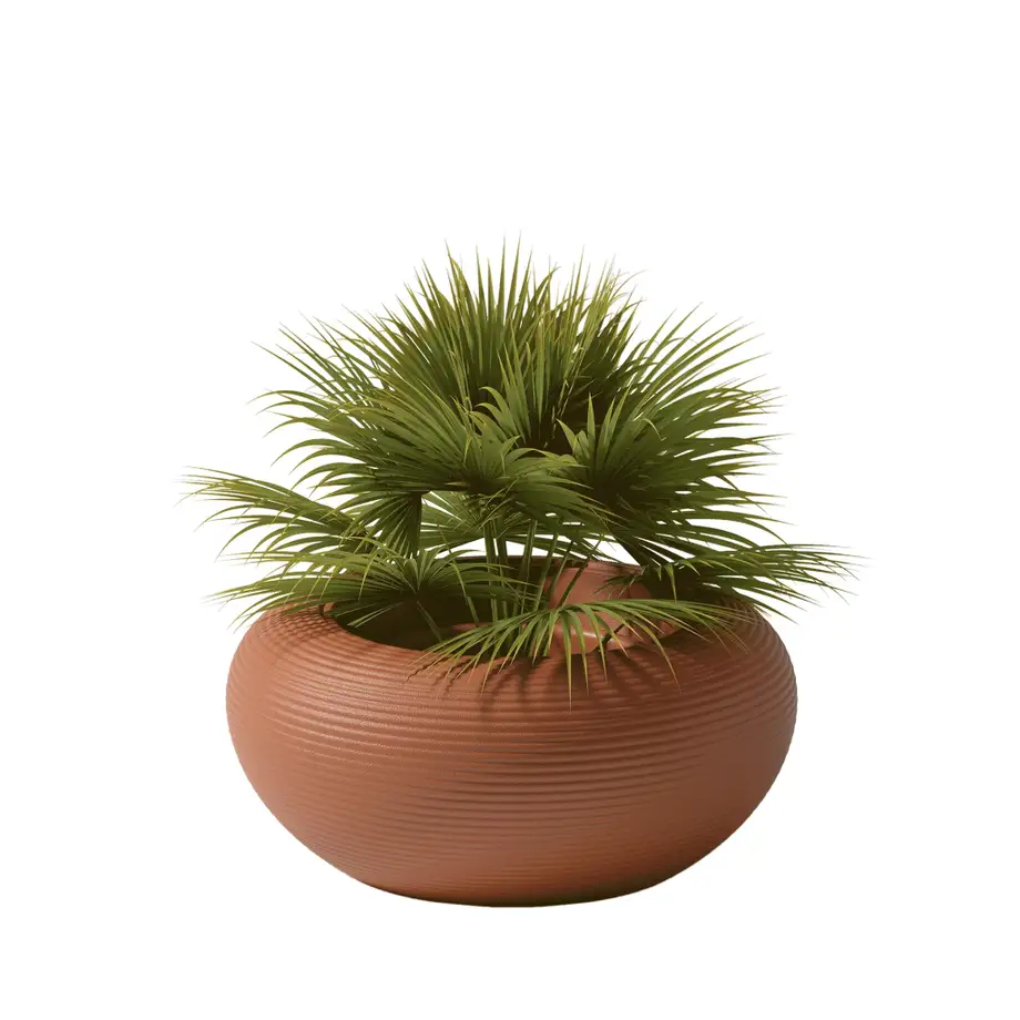 Qeeboo Nami Planter - New Colors