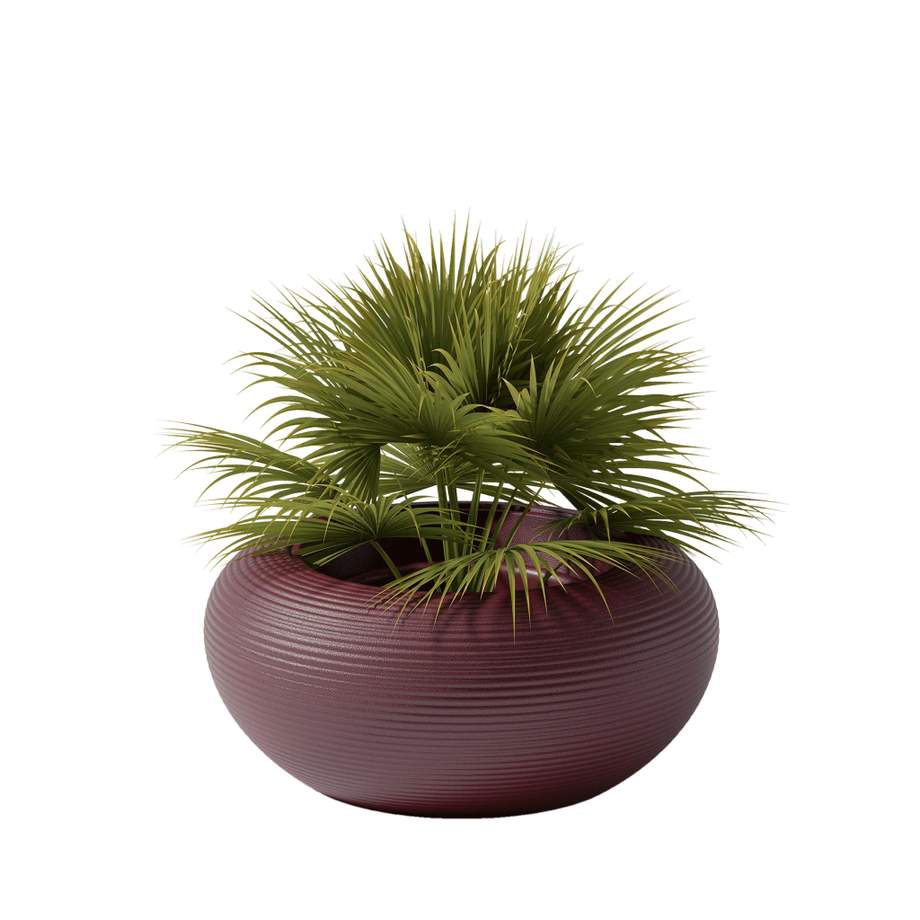 Qeeboo Nami Planter - New Colors