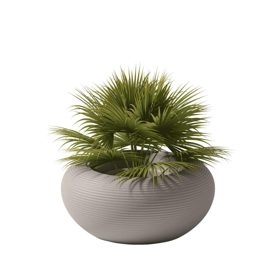 Qeeboo Nami Planter - New Colors