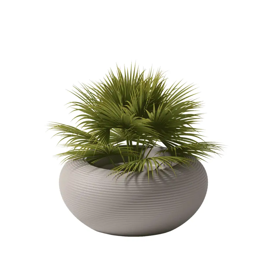 Qeeboo Nami Planter - New Colors