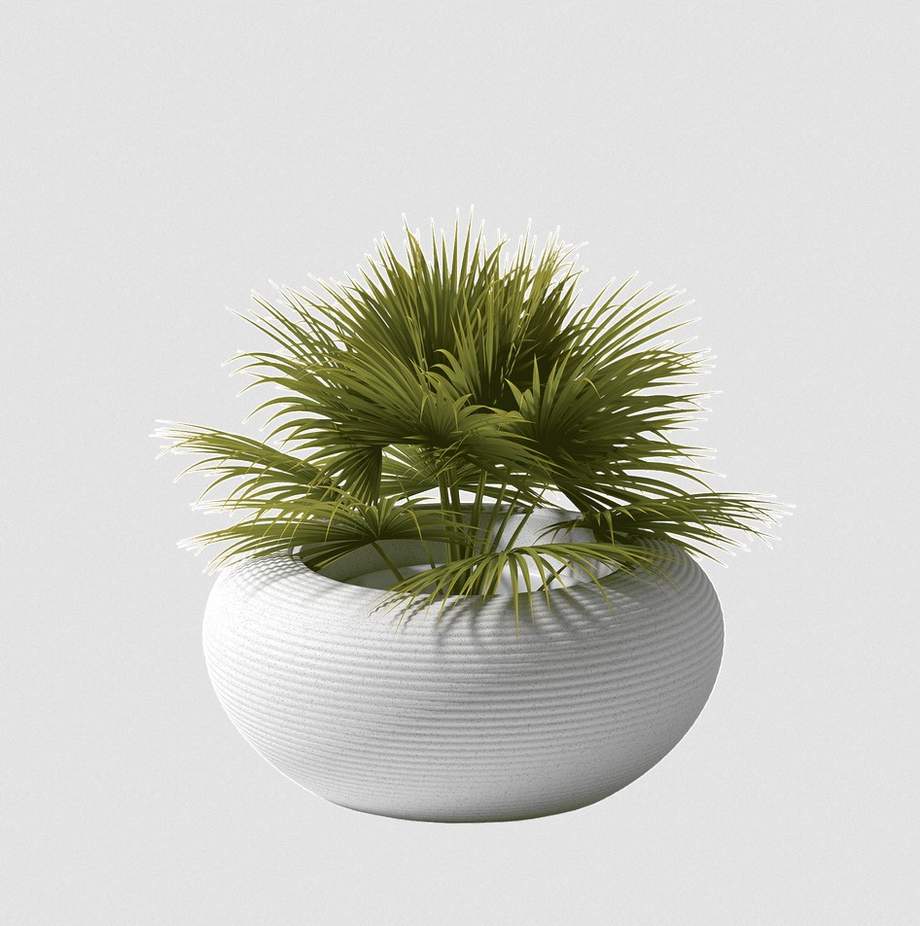 Qeeboo Nami Planter - New Colors