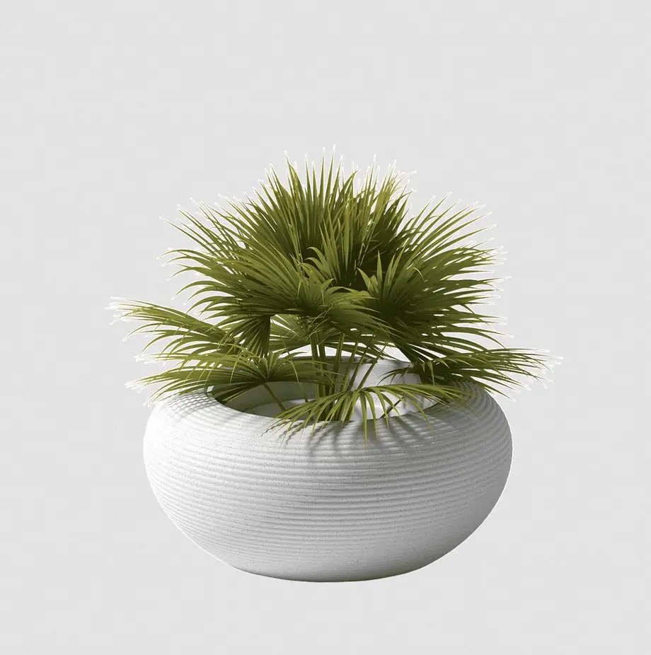 Qeeboo Nami Planter - New Colors