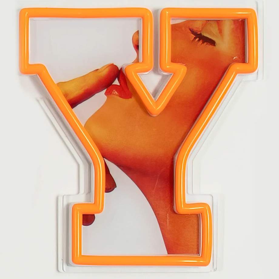 Playboy X "Playboy Wordmark" LED Wall Mountable Neon